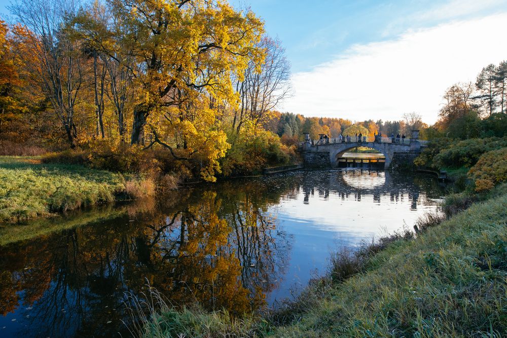 Photograph by Сергеева Марина