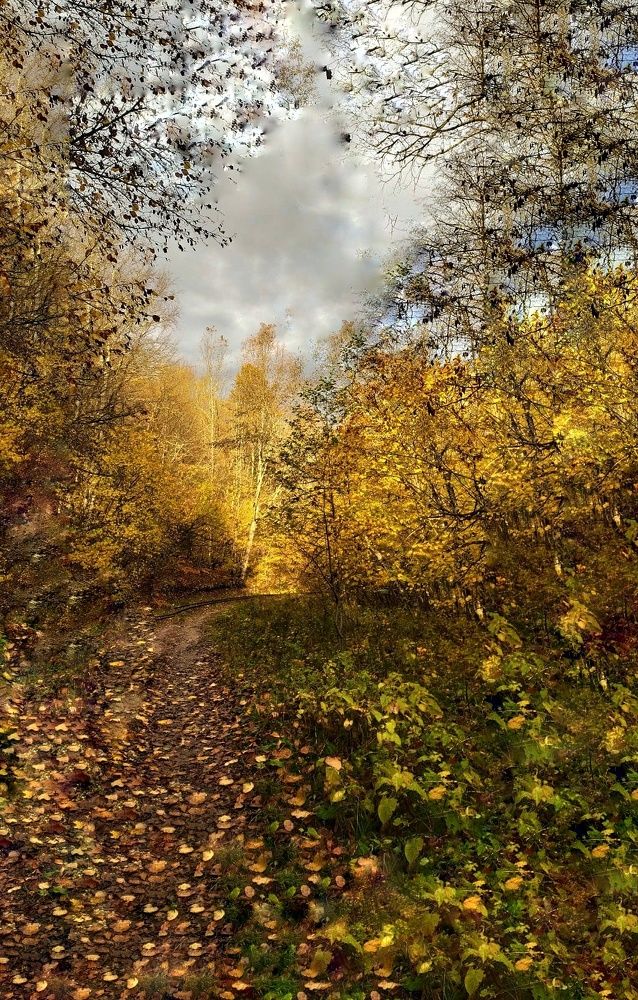 Фотография автора Наталья