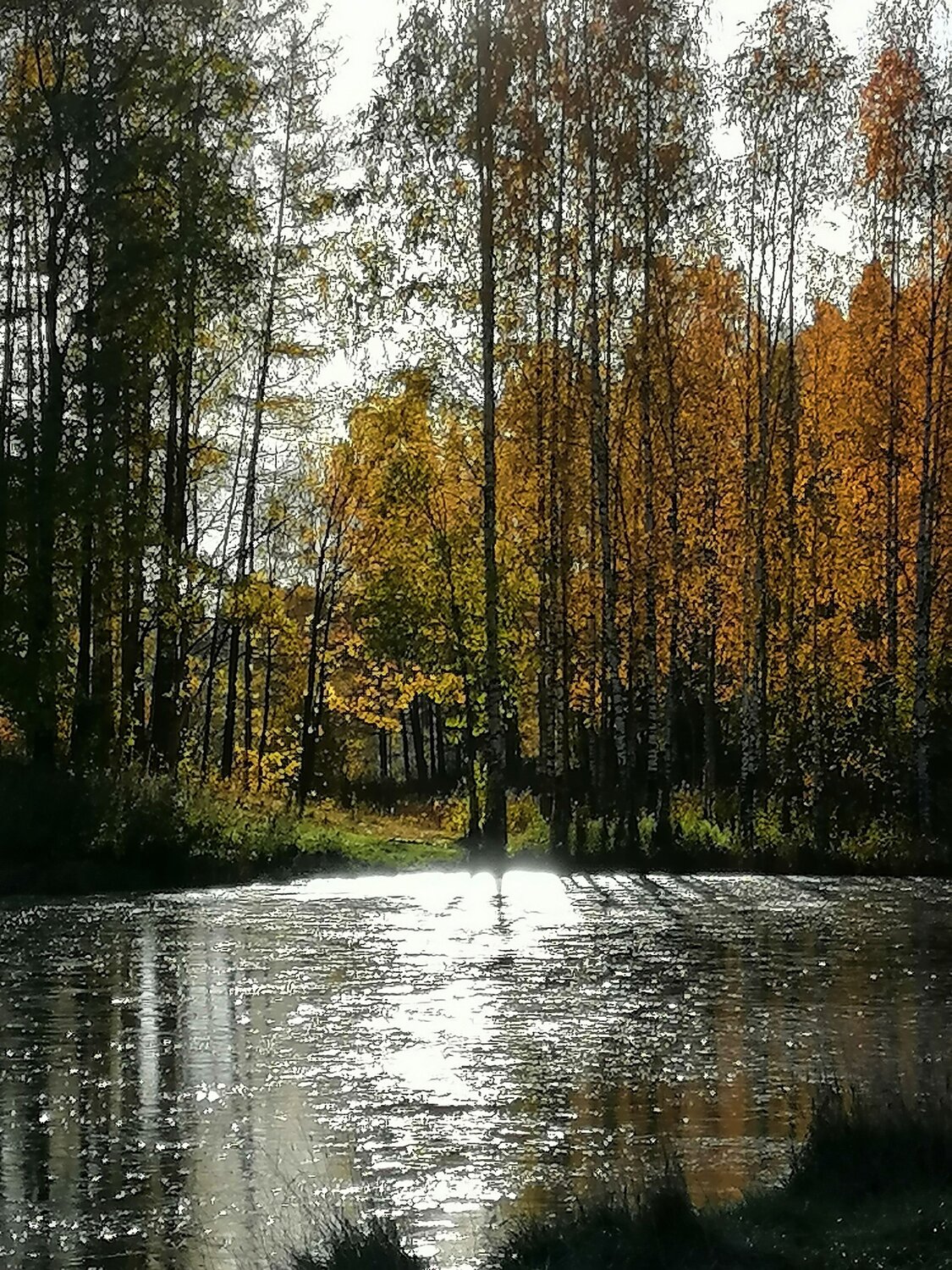 Photo #9728647