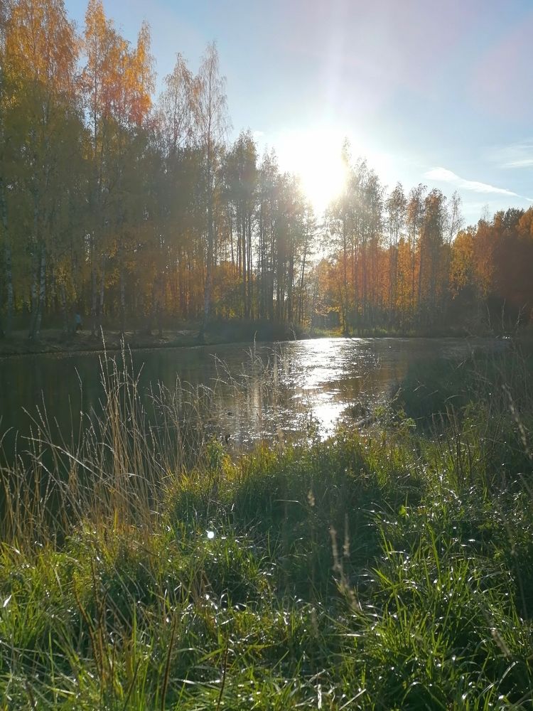 Фотография автора Наталья Корабельщикова