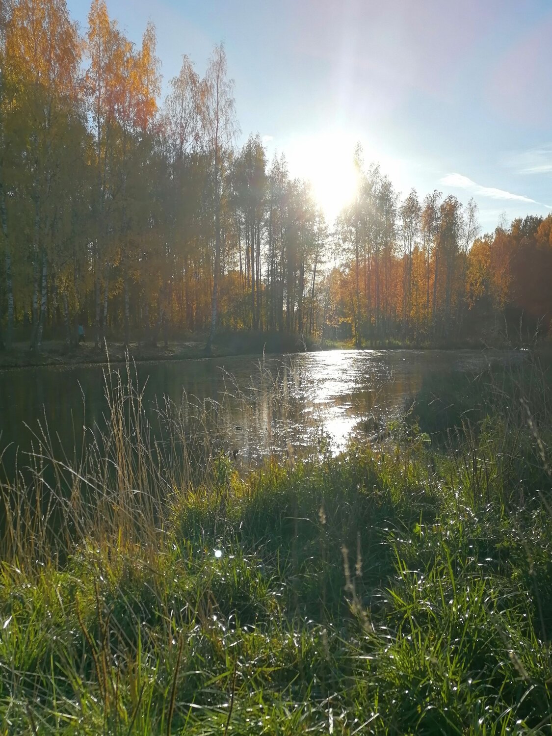 Photo #9728650