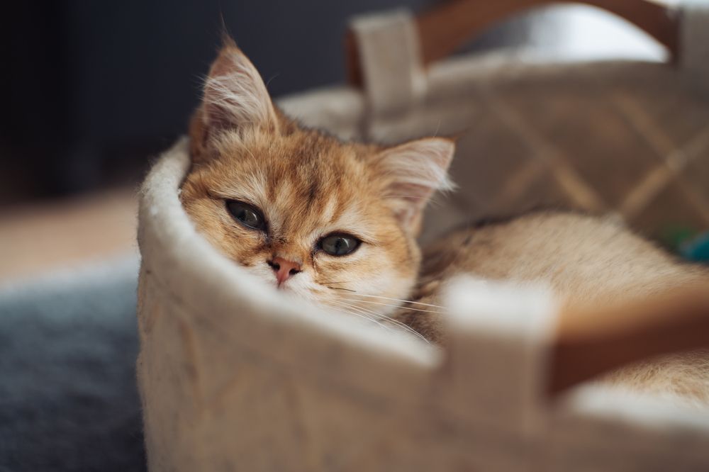 Photograph by Maria Sinisalu