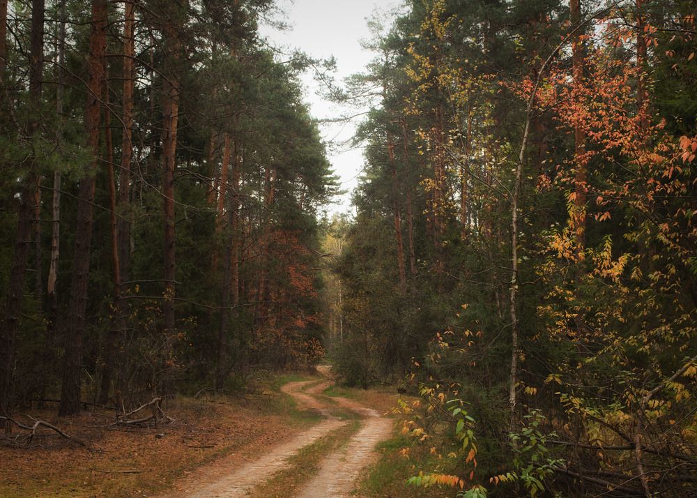 Photograph by Ольга Лобачёва