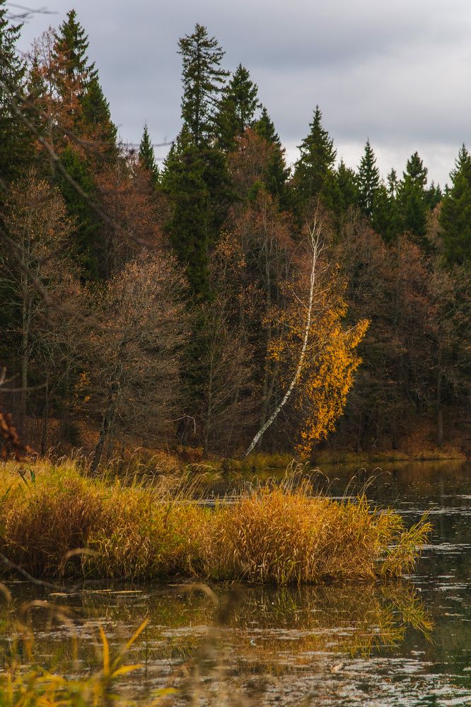 Photograph by Марина Короткова