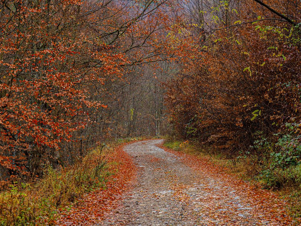 Photograph by Слави Котаров