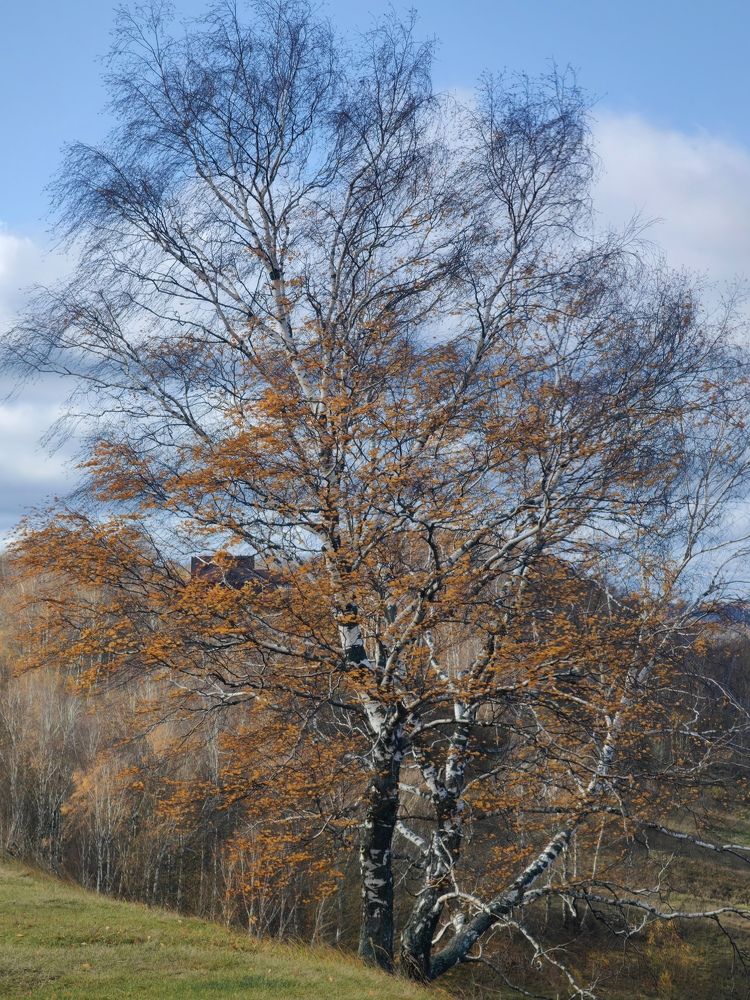 Photograph by Полина Мальцева