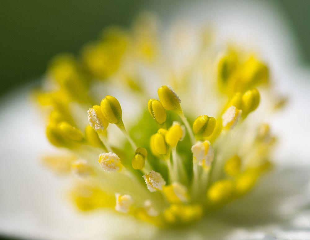 Photograph by Евгения Прокопович