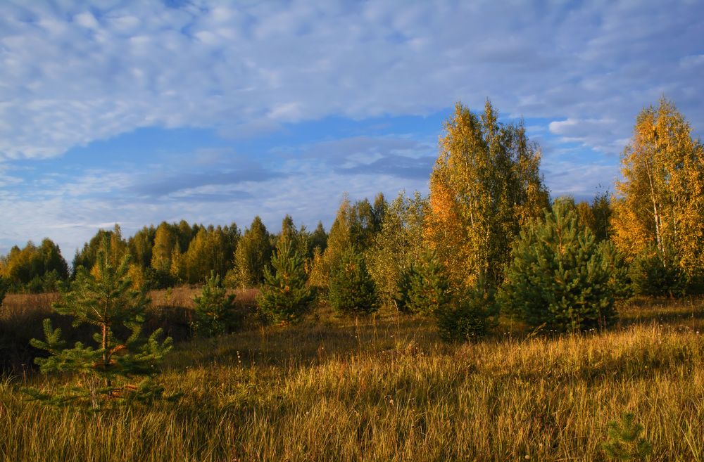 Очарование осеннего вечера.