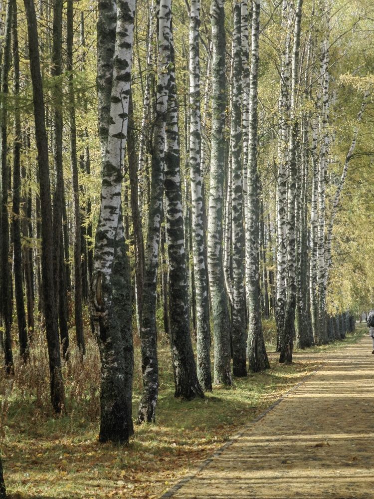 Photograph by Полина Мальцева