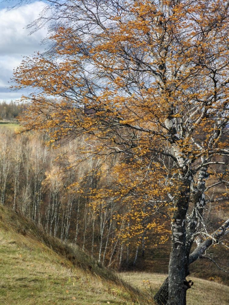 Photograph by Полина Мальцева