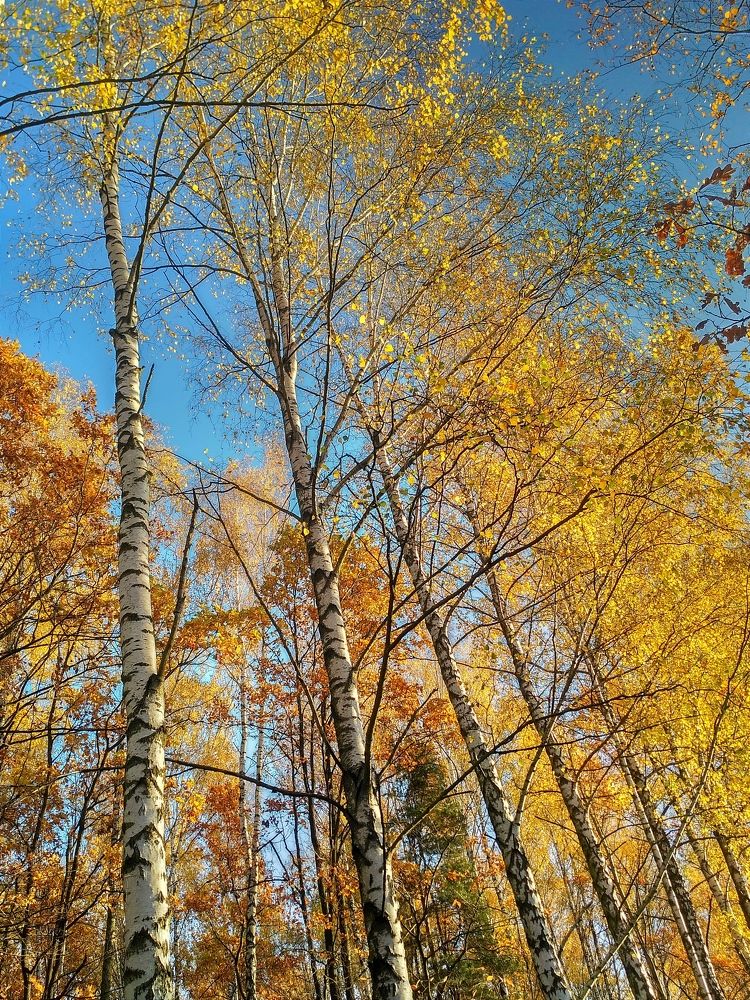 Photograph by Maryna Kukhtsikava