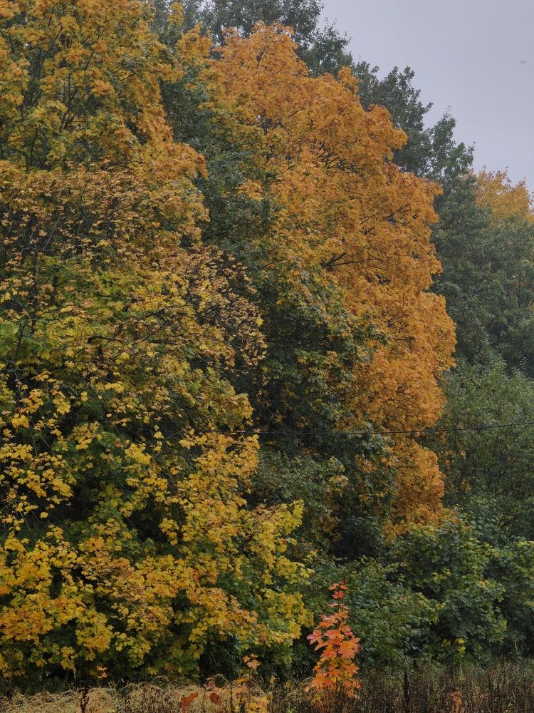 Photograph by Полина Мальцева