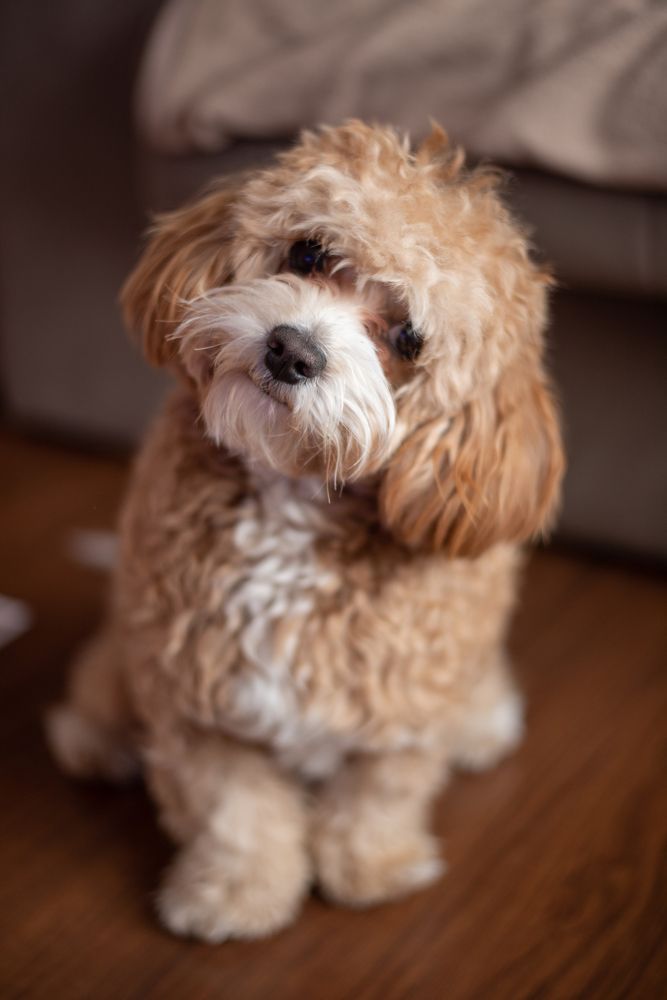 Photograph by Екатерина Реунова