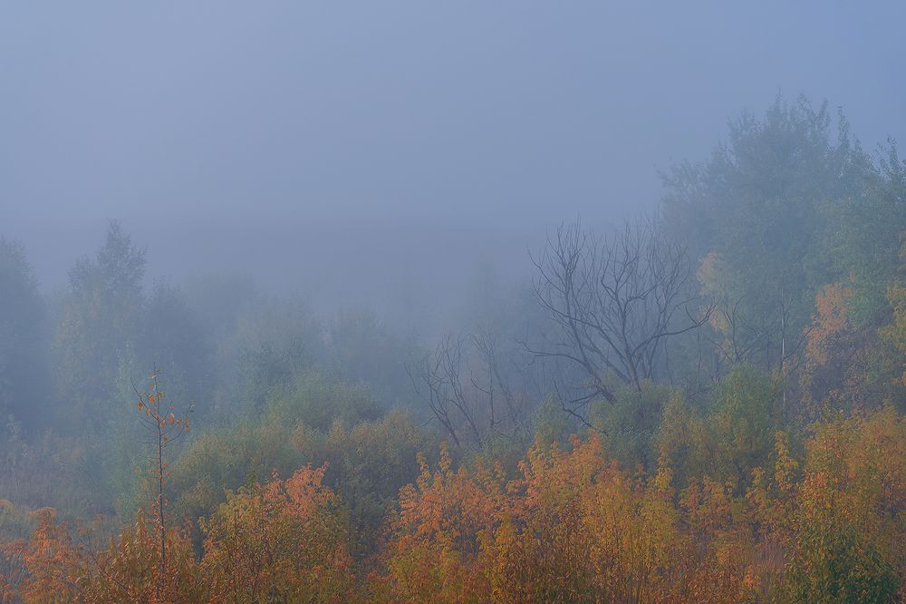 Photograph by Евгений Гонтов