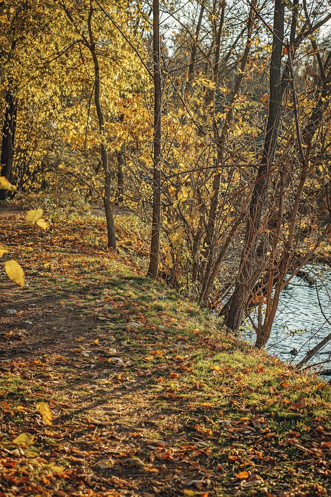 Photograph by Екатерина Никоненко