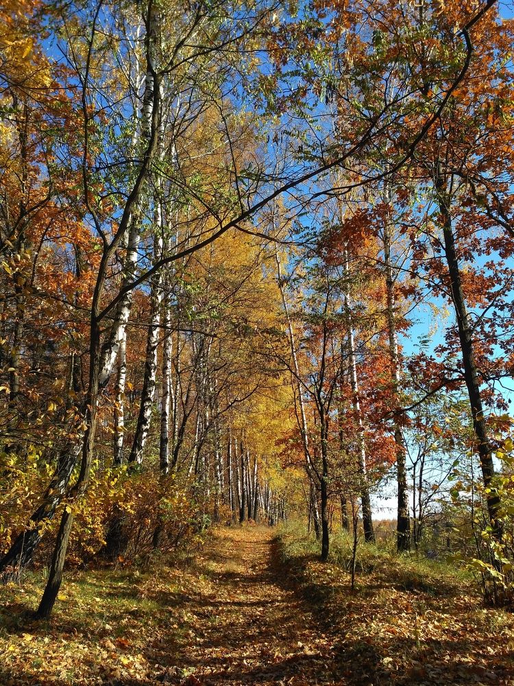 Photograph by Maryna Kukhtsikava