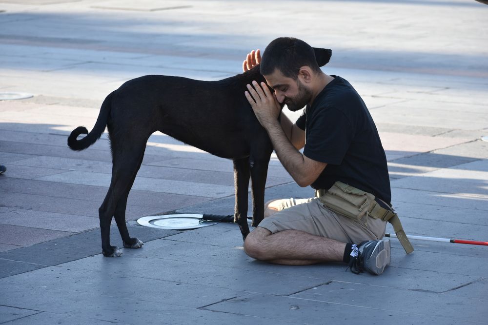 Photograph by Эдуард Оганесян