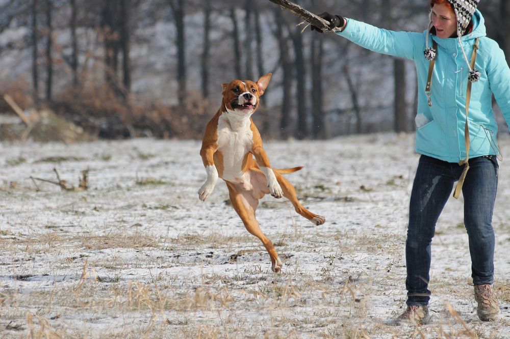 Photograph by Ольга Сельницына