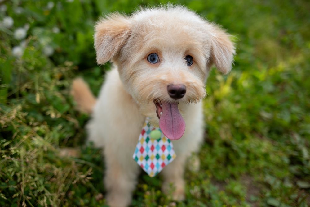 Photograph by Екатерина Терновая