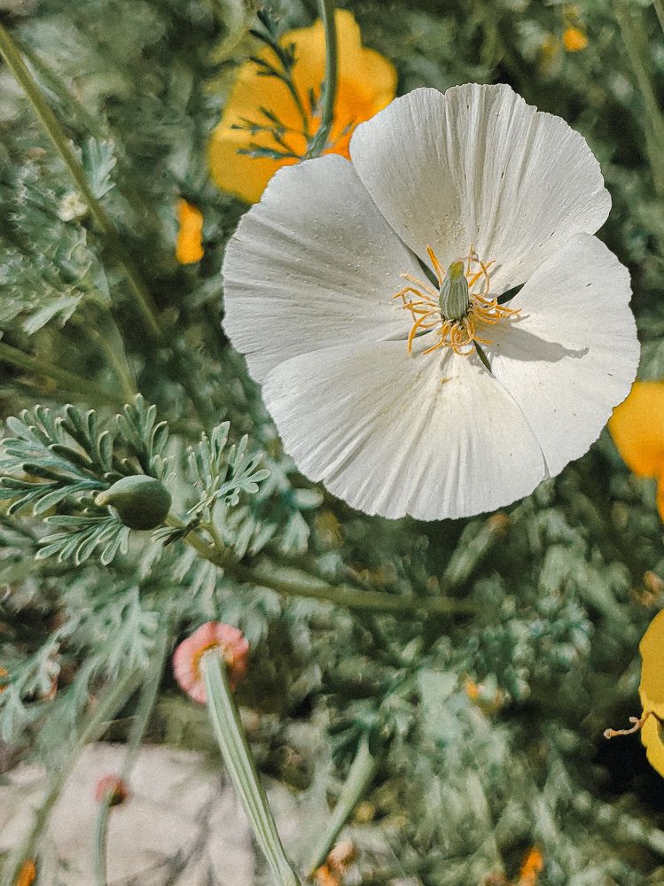 Photograph by Вигдис