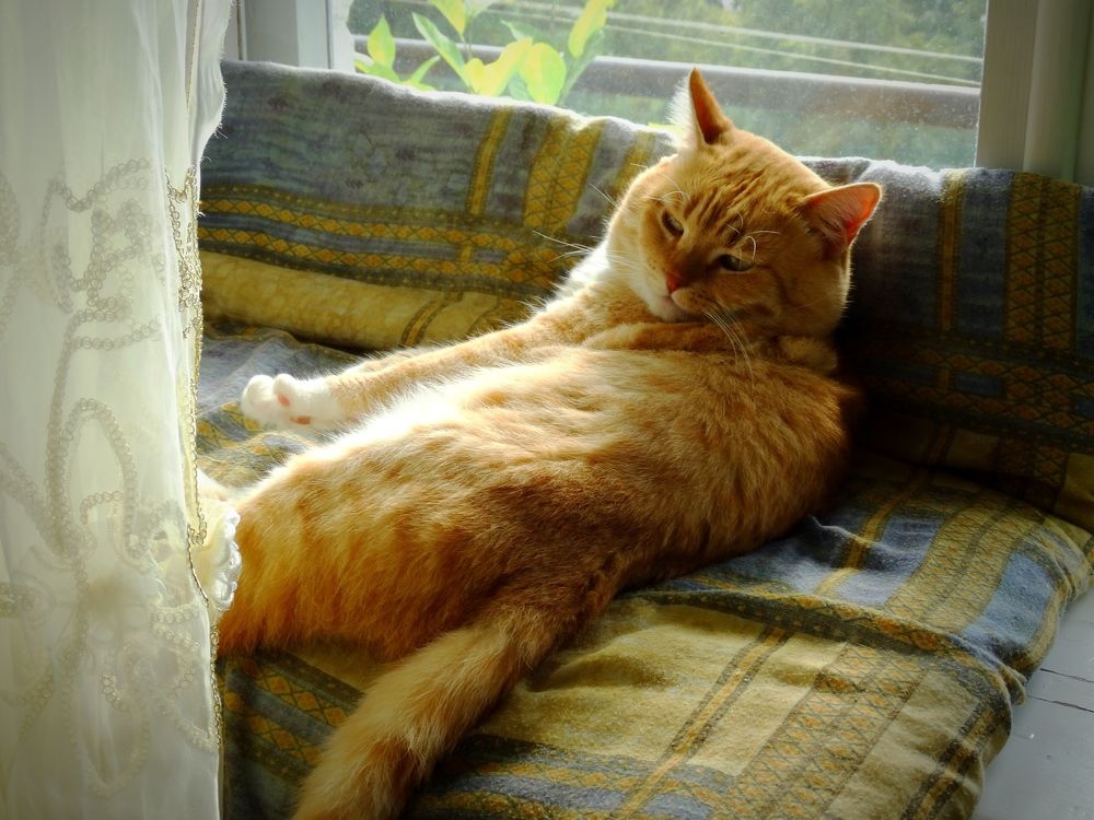 Photograph by Ирина Половцева