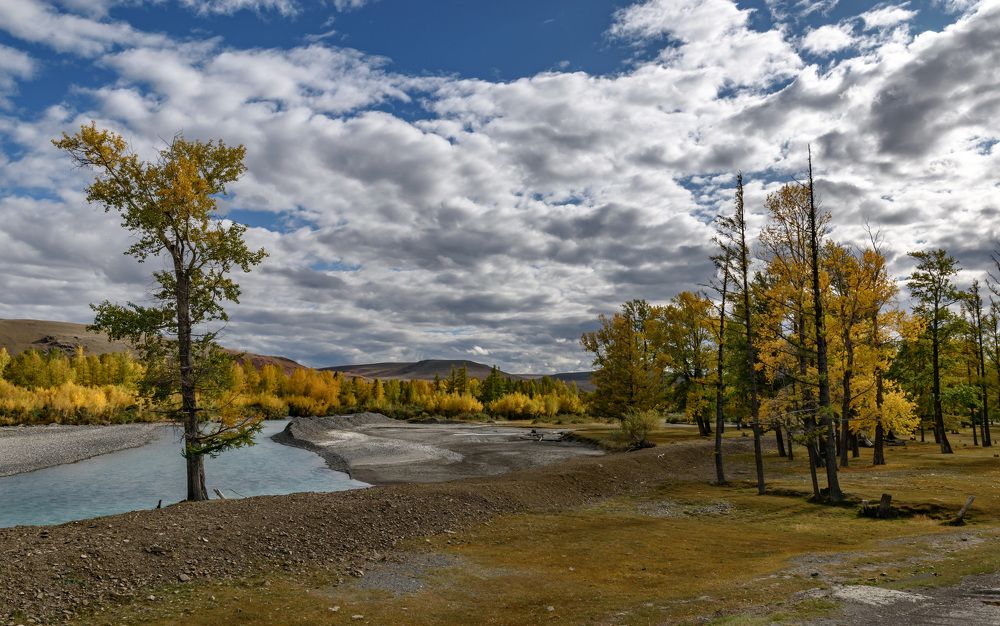 Фотография автора Рохмистрова Мария