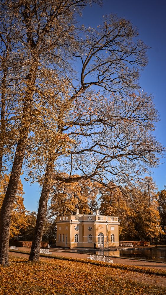 Photograph by Наталья Гришаева