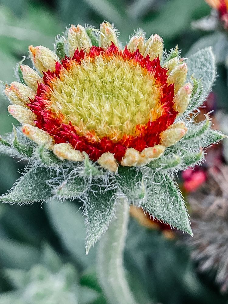 Photograph by Ольга Осинина