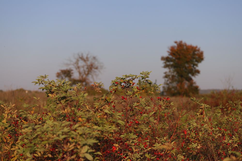 Photograph by Николай Круглов