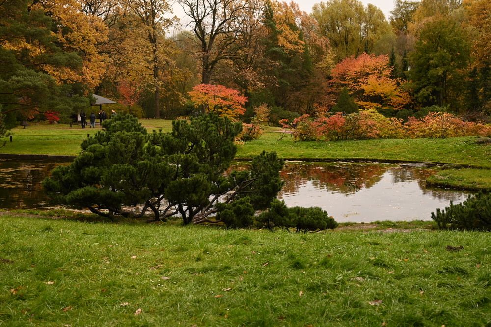 Photograph by Светлана Рубникович