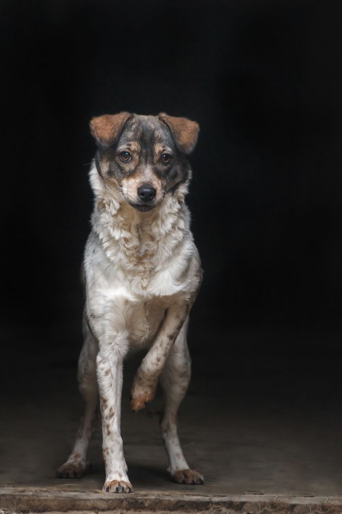 Photograph by Ольга Сельницына