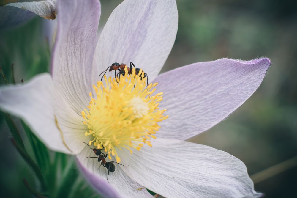 Photograph by Дарья Бобылева