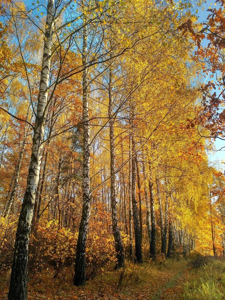 Photograph by Maryna Kukhtsikava