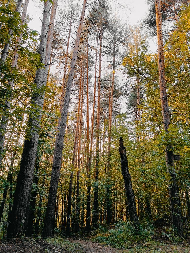 Photograph by Олеся Клименченко