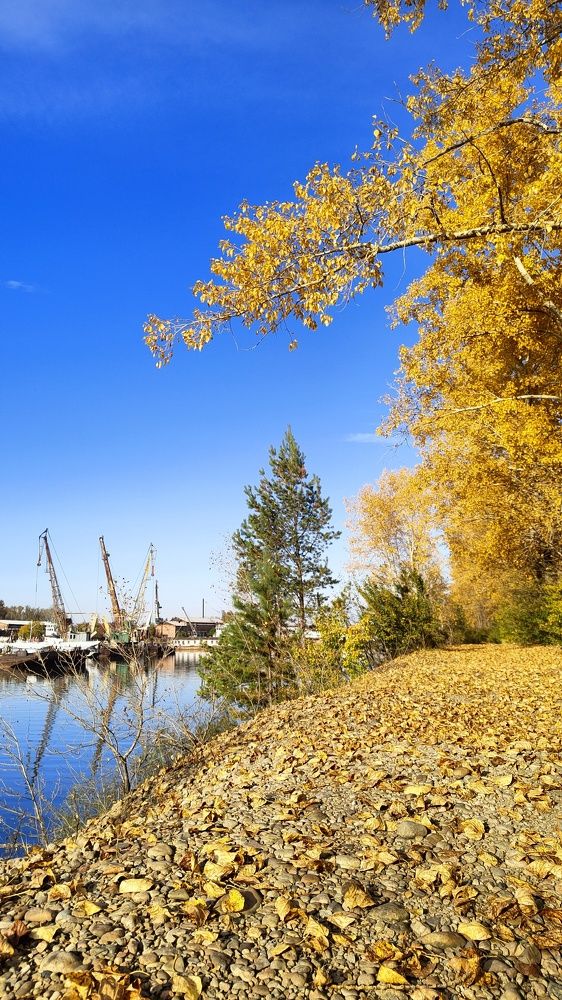 Золотая осень