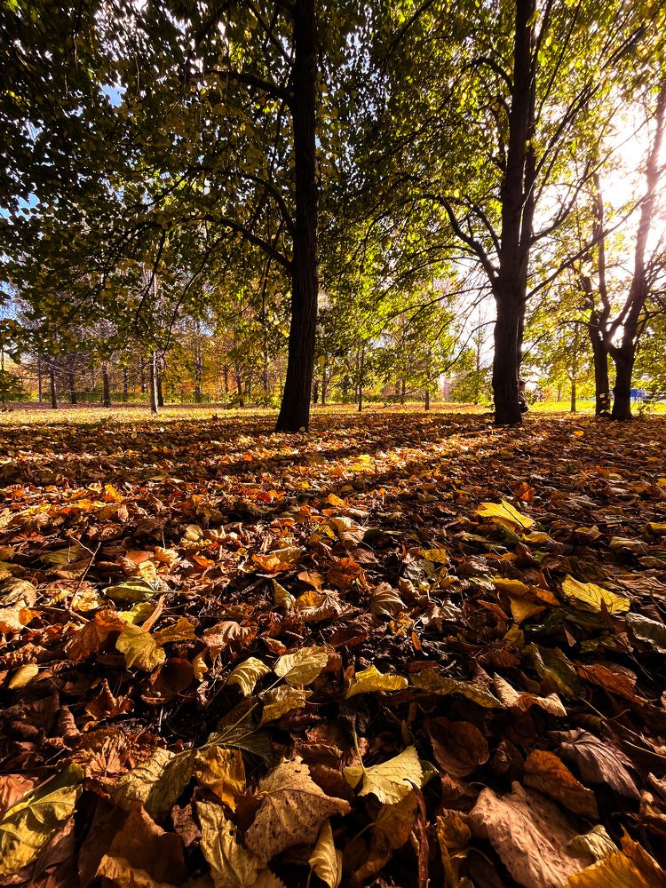 Photograph by Лия Маликова