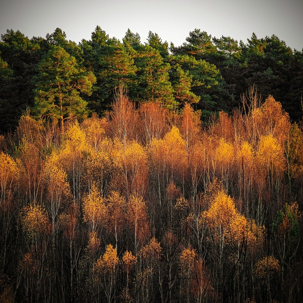 Photograph by Andrei Iliushenko