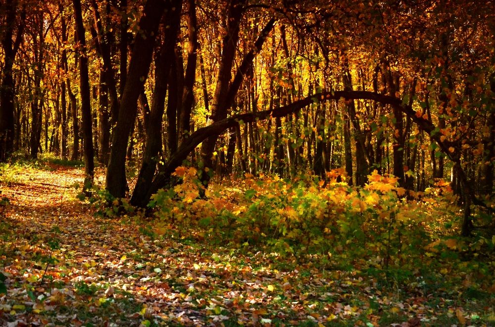 Photograph by Наталья Иванова