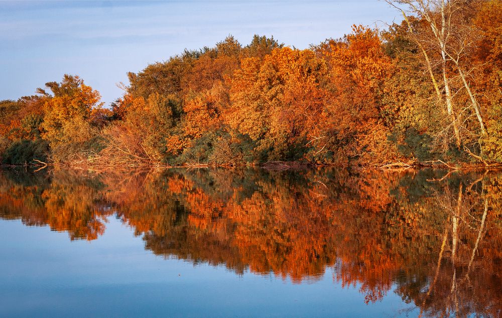 Photograph by Юлия Страданченкова