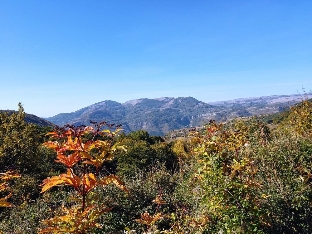 Фотография автора Liliya Slavcheva