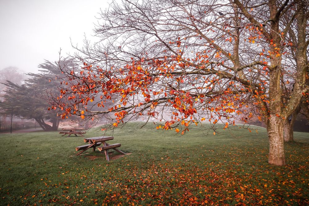 Photograph by Sergejs Barkans