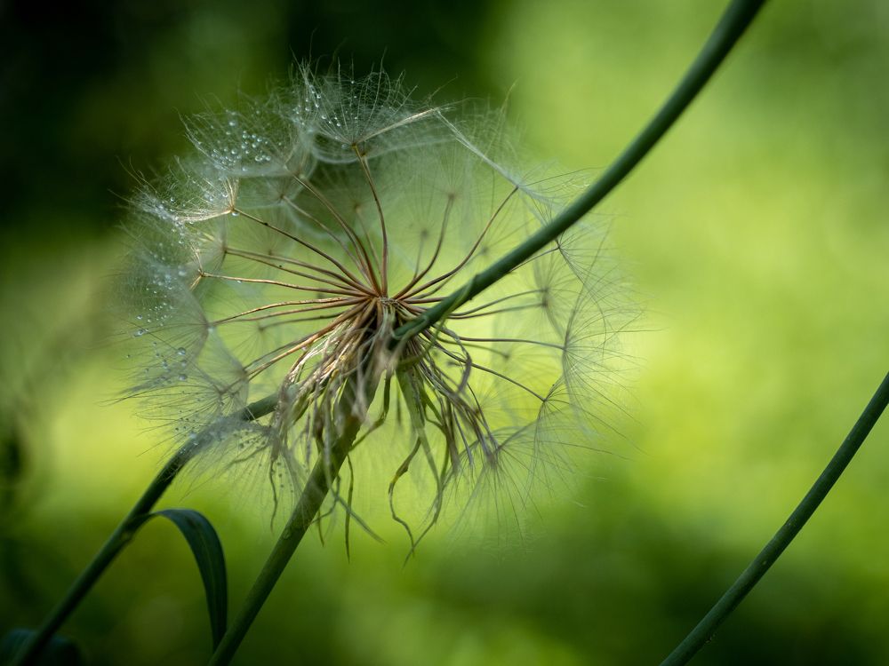 Photograph by Маргарита Ивкова