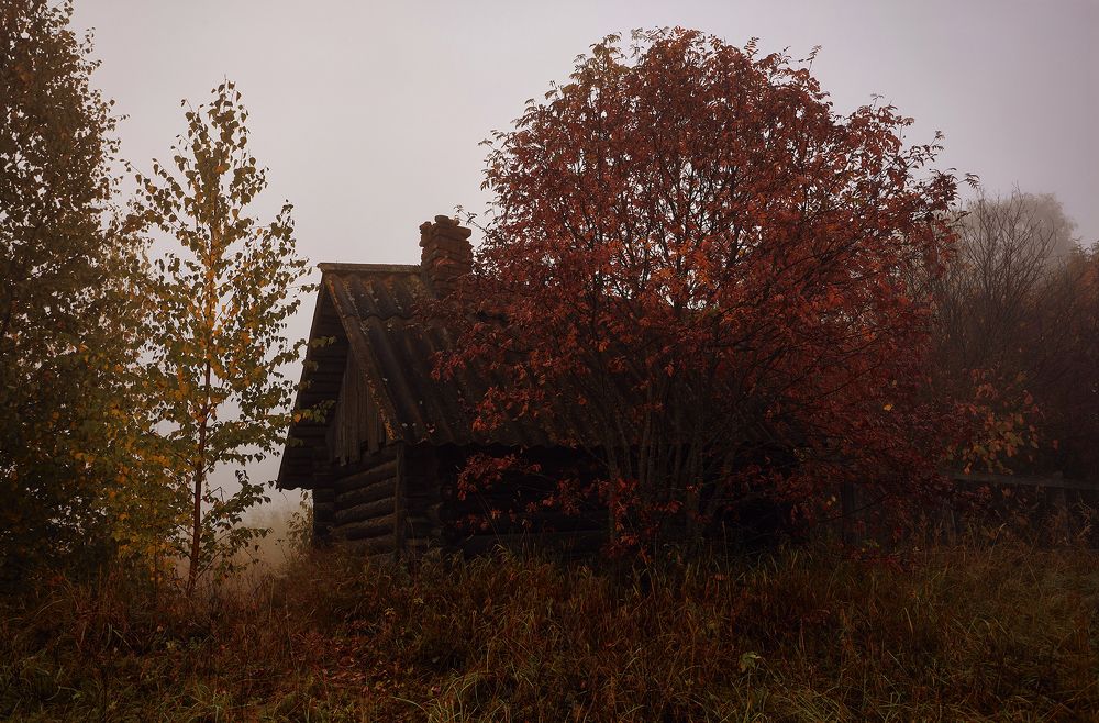 Photograph by Геннадий Васенков