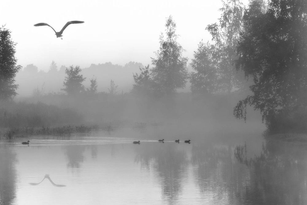 Photograph by Константин Гончаров