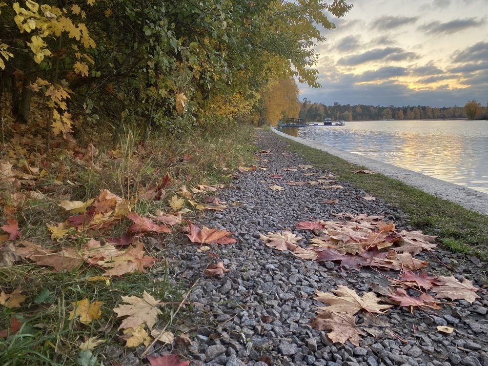 Фотография автора Ольга Горюнова