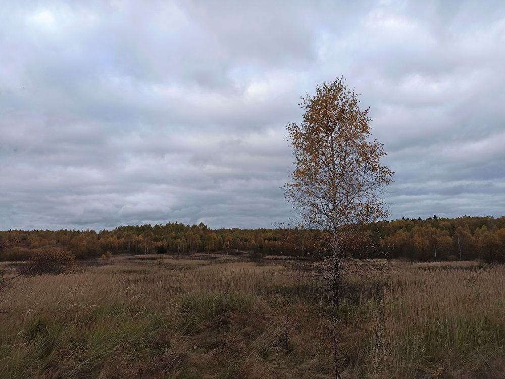 Photograph by Светлана Барабанова