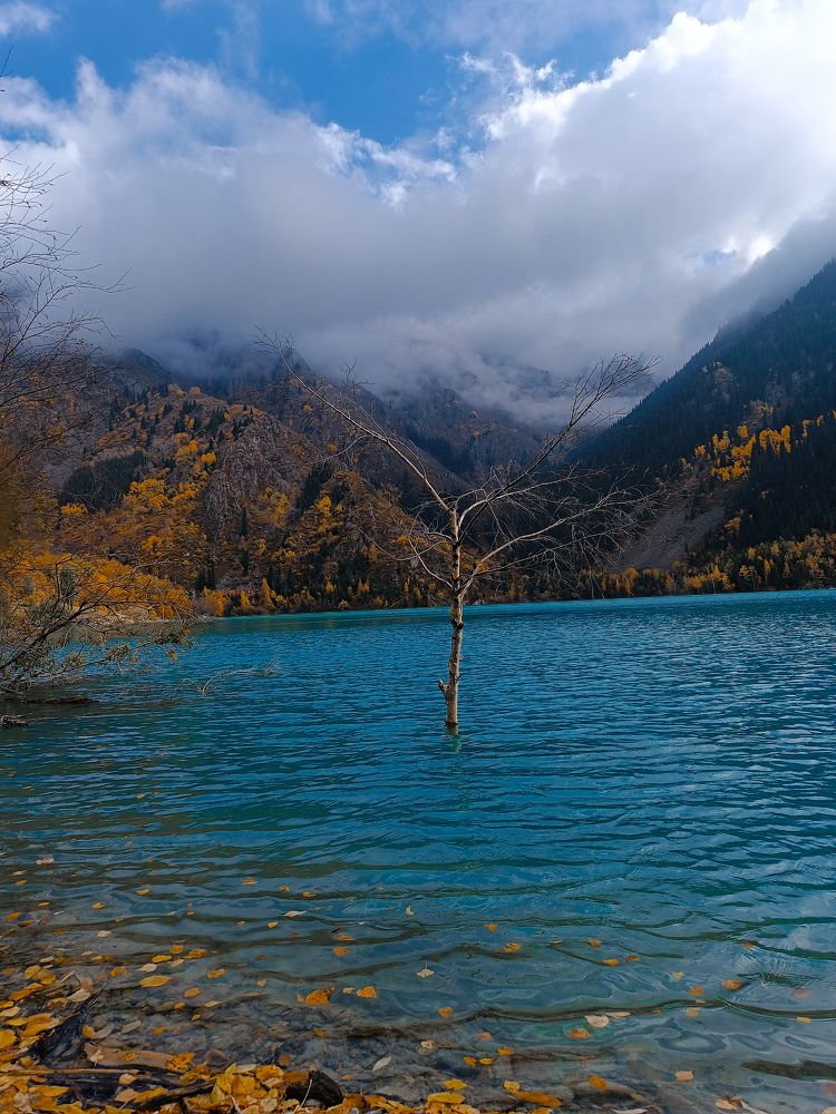 Photograph by Олеся Клименченко