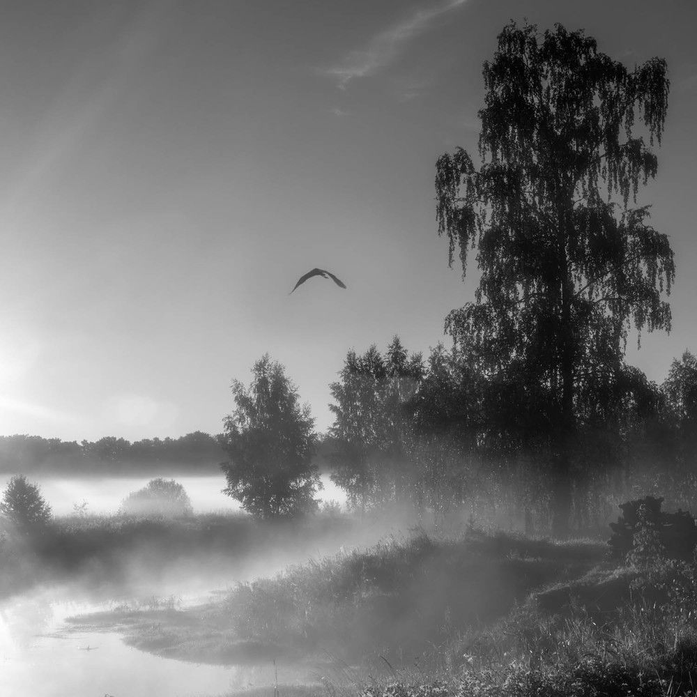 Photograph by Константин Гончаров