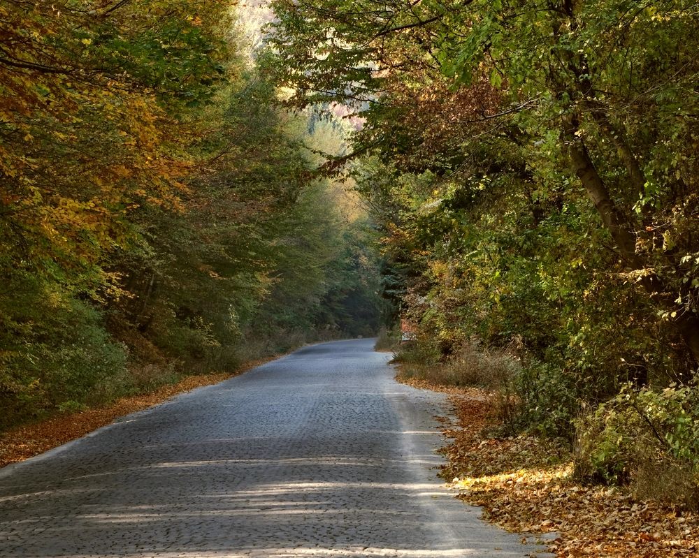 Фотография автора Dmitry