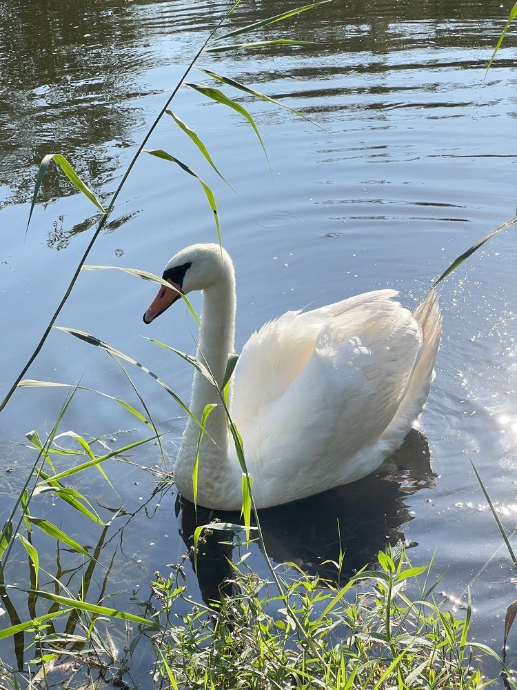 Photograph by Eugenia Schmidt